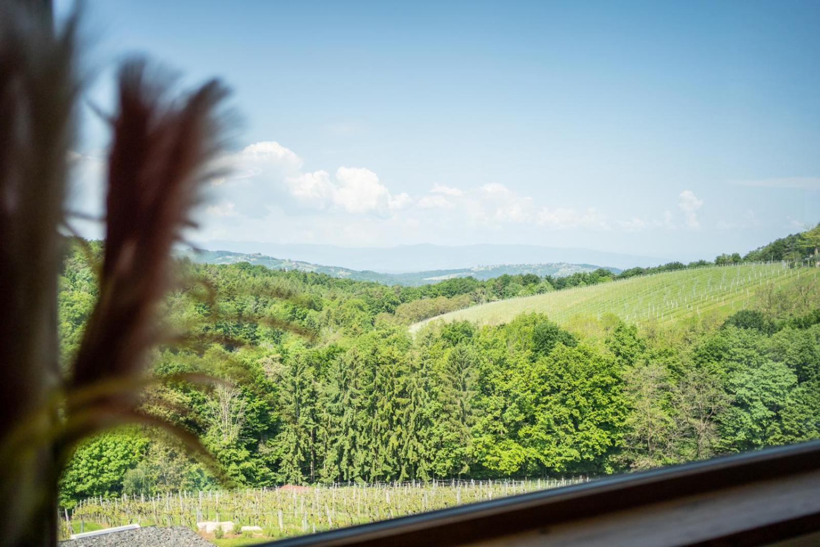 Appartamento Steirerblicke - Am Winzerkogel Leibnitz Esterno foto